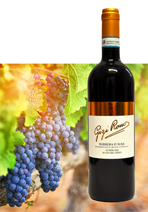 Barbera d’Alba doc Buon Ricordo