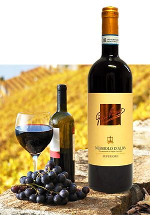 Nebbiolo d’Alba doc Superiore